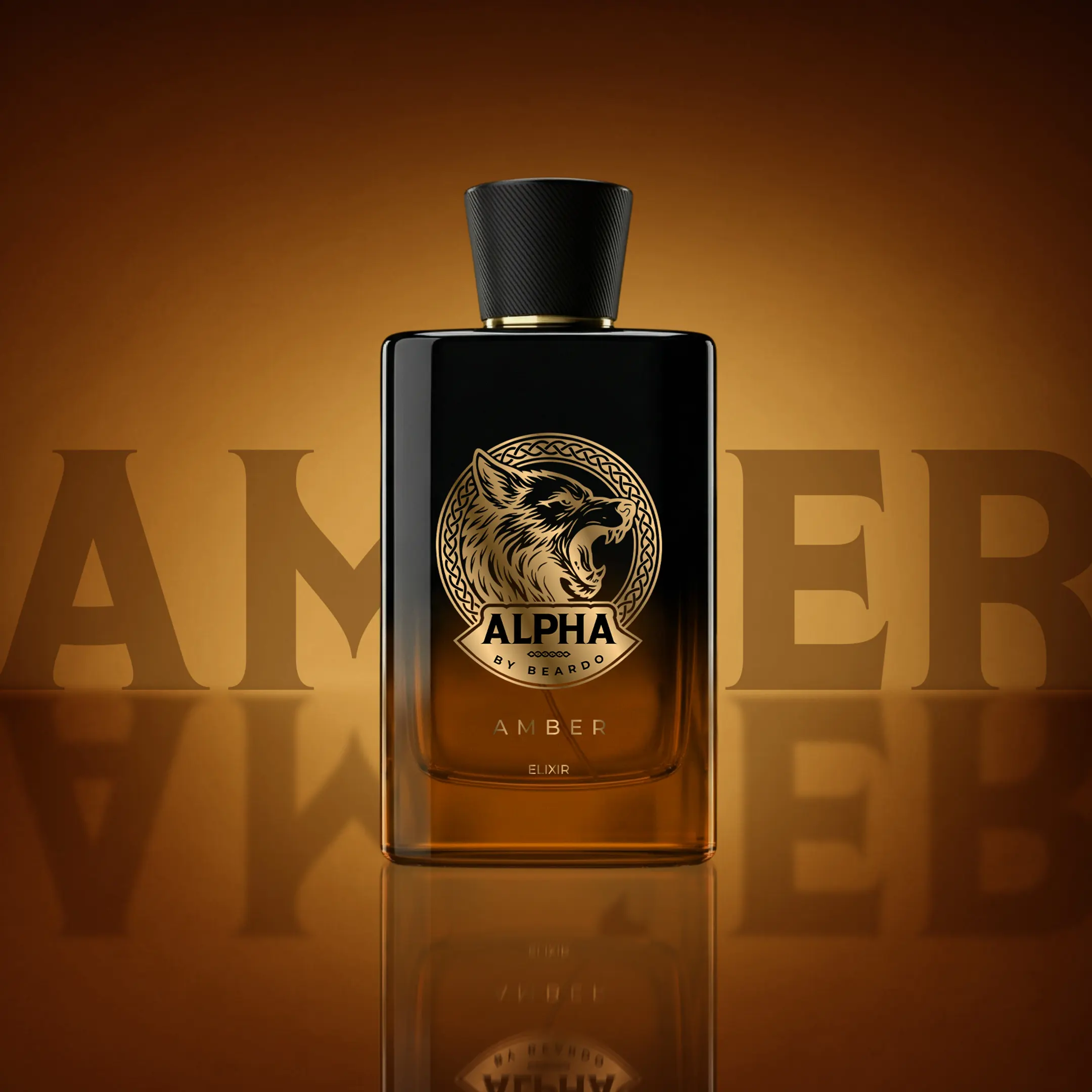 New Launch